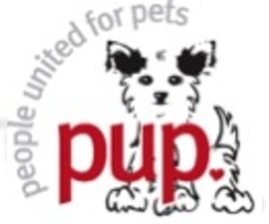 Medium Photo #1 Chiweenie Puppy For Sale in Issaquah, WA, USA