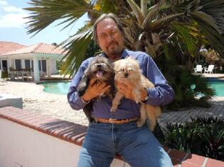 Shih Tzu-Unknown Mix Dogs for adoption in Weston, FL, USA
