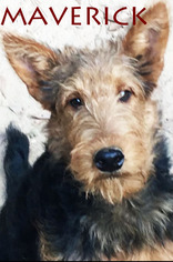 Medium Photo #1 Airedale Terrier Puppy For Sale in Griffin, GA, USA