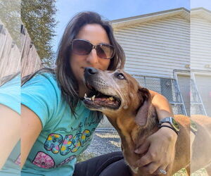 Mutt Dogs for adoption in Thomasville, NC, USA