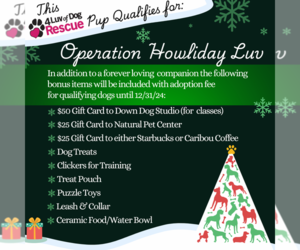 German Shepherd Dog Dogs for adoption in Fargo, ND, USA