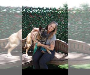 Mutt Dogs for adoption in Santa Barbara, CA, USA