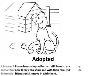 Sheprador Dogs for adoption in Tuscaloosa, AL, USA