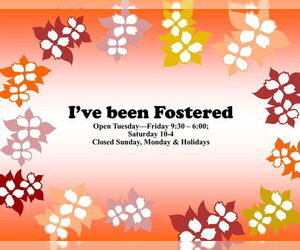 Mutt Dogs for adoption in Moreno Valley, CA, USA