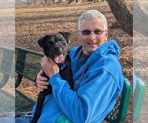 Mutt Dogs for adoption in Kennesaw, GA, USA