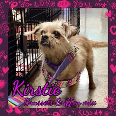 Brussels Griffon Dogs for adoption in Franklinton, LA, USA