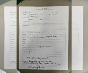 Mutt Dogs for adoption in South Bend, IN, USA