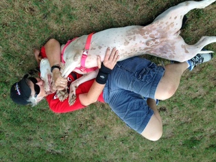 Medium Photo #1 American Bulldog-Dogo Argentino Mix Puppy For Sale in Decatur, GA, USA