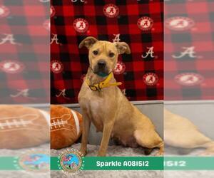 Chinese Shar-Pei-Unknown Mix Dogs for adoption in Mobile, AL, USA