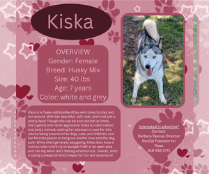 - Mix Dogs for adoption in Rancho Cordova, CA, USA