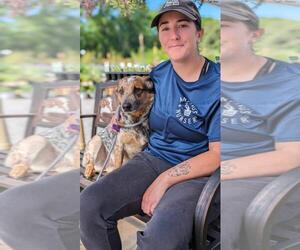 Mutt Dogs for adoption in Lacombe, LA, USA