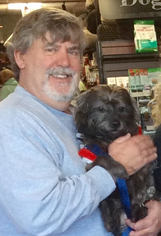 Medium Photo #1 Mutt Puppy For Sale in Tenafly, NJ, USA