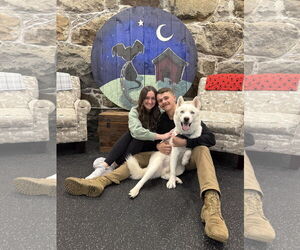 - Mix Dogs for adoption in Boonton, NJ, USA