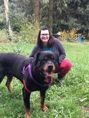 Rottweiler Dogs for adoption in Bellevue, WA, USA