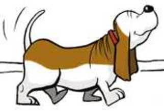 Medium Photo #1 Basset Hound Puppy For Sale in Whittier, CA, USA