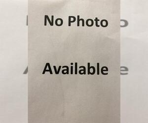 Mutt Dogs for adoption in Sanford, FL, USA