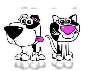 Mutt Dogs for adoption in Farmington, MN, USA