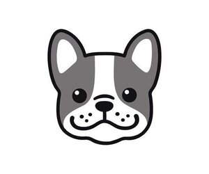 Mutt Dogs for adoption in Hedgesville, WV, USA