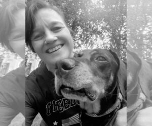 Doberman Pinscher-Unknown Mix Dogs for adoption in Holland, MI, USA