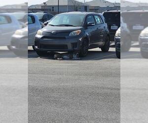 American Staffordshire Terrier-Labrador Retriever Mix Dogs for adoption in San Antonio, TX, USA