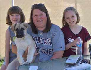 Great Pyrenees-Unknown Mix Dogs for adoption in Dodson, MT, USA