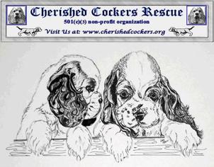 Cocker Spaniel Dogs for adoption in Mentor, OH, USA