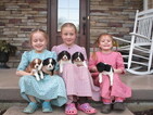 Small Photo #1 Cavalier King Charles Spaniel Puppy For Sale in EPHRATA, PA, USA