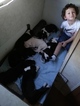 Small Photo #1 Great Dane Puppy For Sale in FORT MYERS, FL, USA