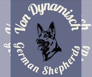 German Shepherd Dog Litter for sale in COLEMAN, MI, USA