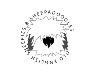 Medium Sheepadoodle