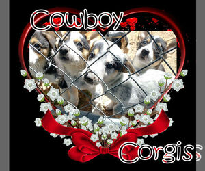 Medium Cowboy Corgi