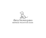 Small Bernese Mountain Dog
