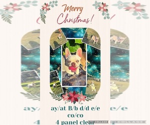 French Bulldog Litter for sale in CALDWELL, TX, USA