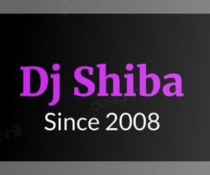 Shiba Inu Litter for sale in GARLAND, TX, USA