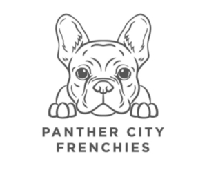 French Bulldog Litter for sale in FORT WORTH, TX, USA