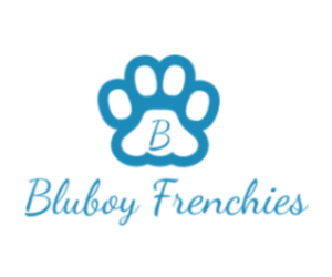 French Bulldog Litter for sale in DALLAS, TX, USA