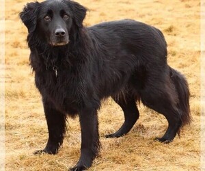 Photo of Labrachow