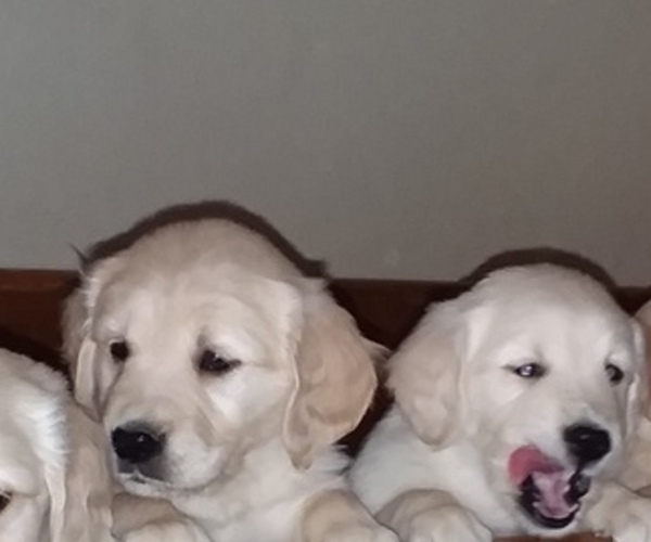 Medium Photo #11  Breeder Profile in LOOMIS, CA, USA