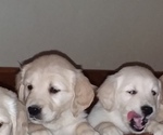 Small #10 Breeder Profile image