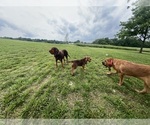 Small #4 Breeder Profile image