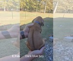 Small #30 Breeder Profile image
