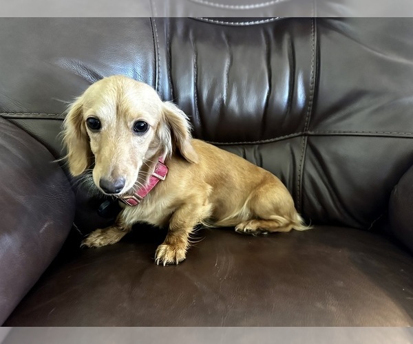 Medium Photo #3  Breeder Profile in MONTROSE, CO, USA