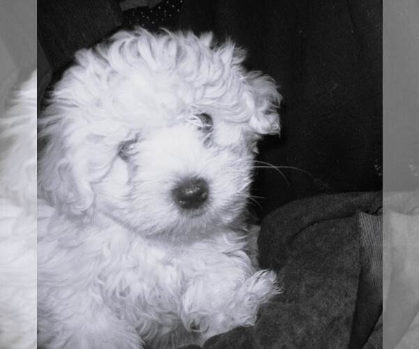 Medium Photo #1  Breeder Profile in HARRISON, SD, USA