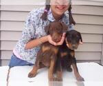 Small Photo #2  Breeder Profile in HAGERSTOWN, IN, USA