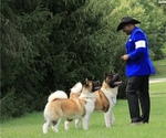 Small #13 Breeder Profile image