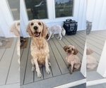Small #12 Breeder Profile image