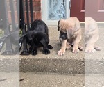 Small #1 Breeder Profile image