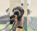 Small #5 Breeder Profile image