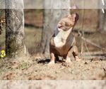 Small #19 Breeder Profile image