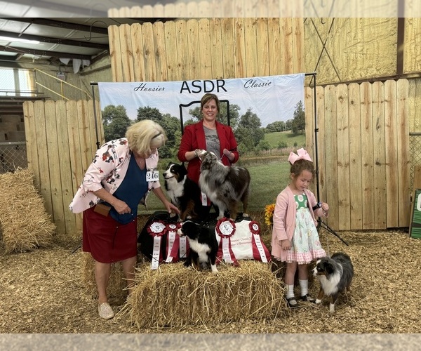 Medium Photo #1  Breeder Profile in NOLENSVILLE, TN, USA